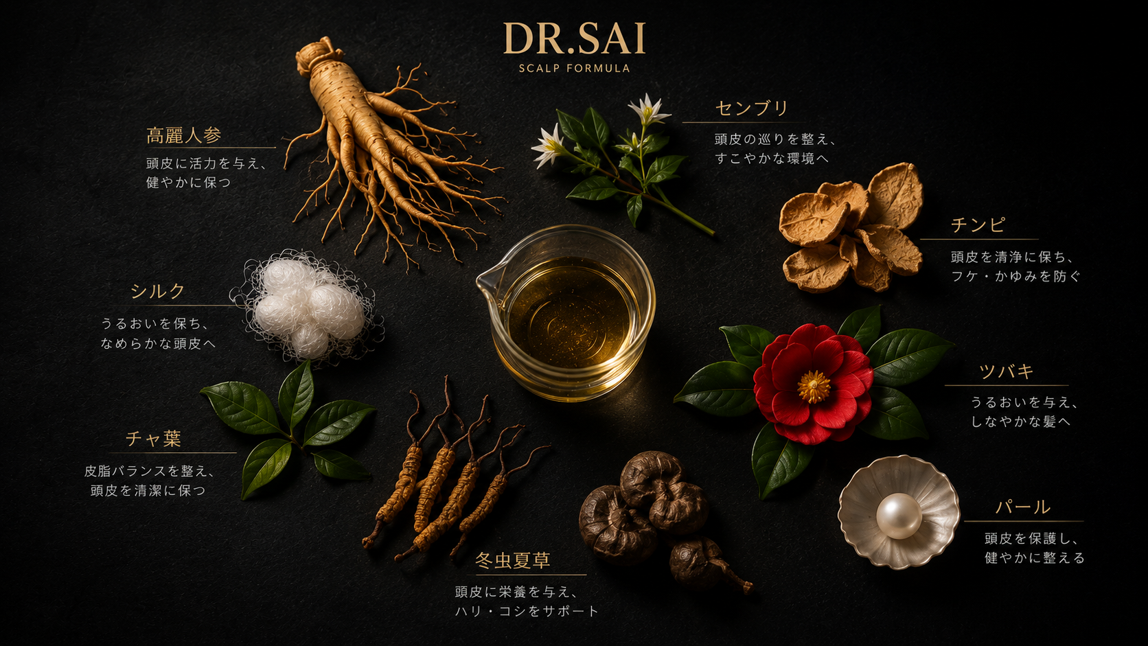 DR.SAI 配合成分ビジュアル